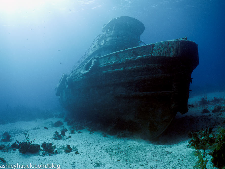 Diving Nassau, Bahamas: Wrecks of the Willaurie and Anthony Bell