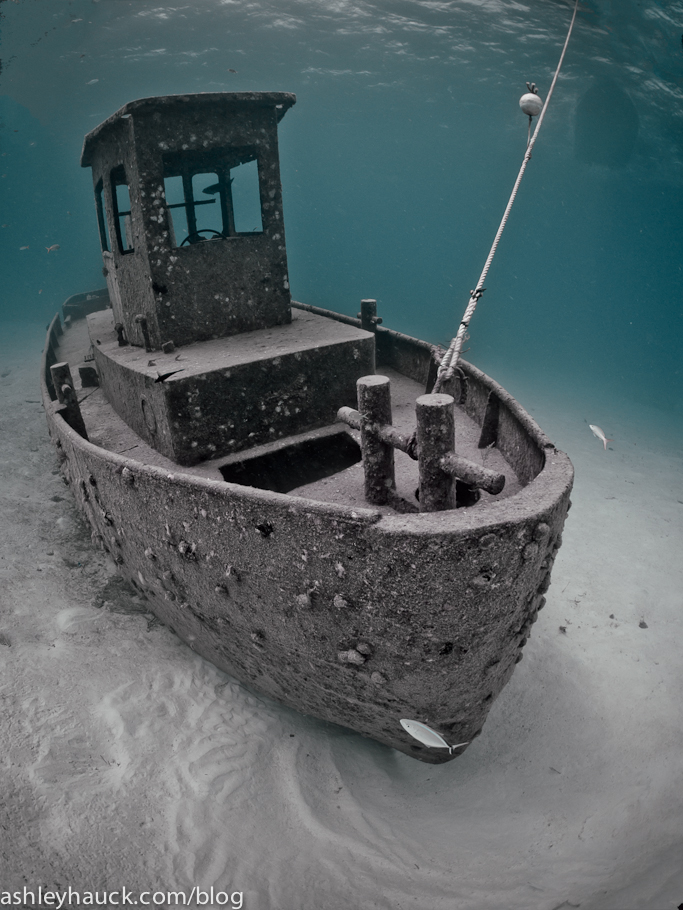Diving Nassau, Bahamas: The BBC Wreck