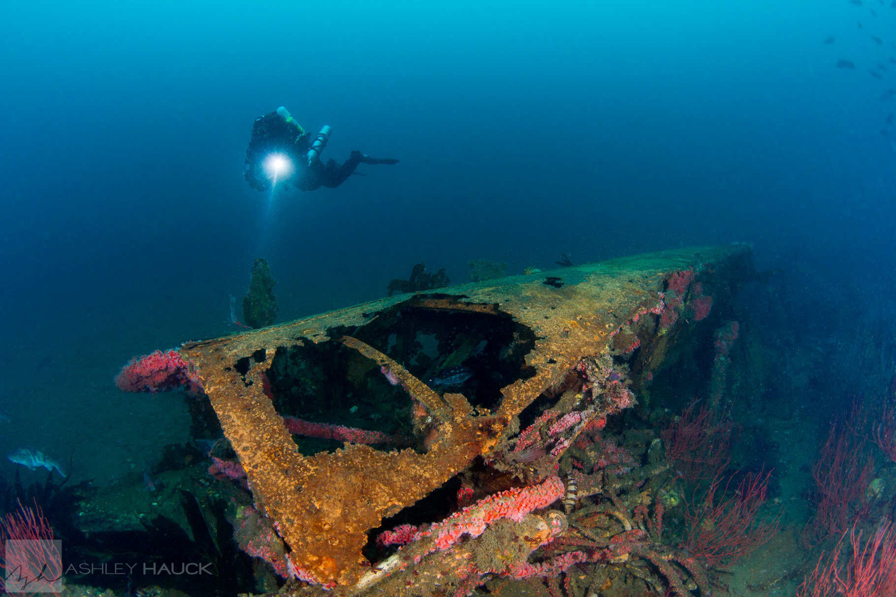 Diver on USS Hogan Wreck, San Diego