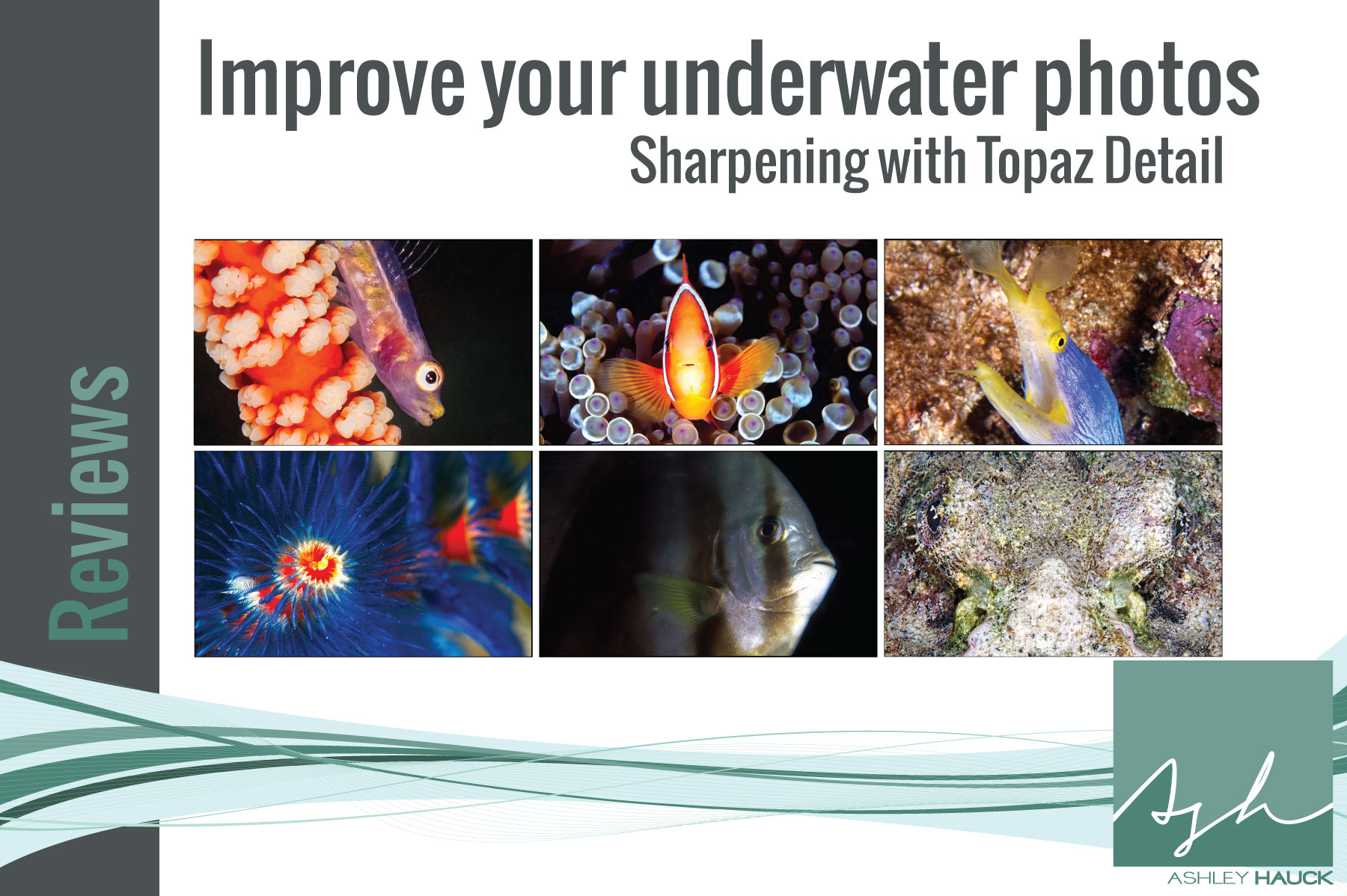 Topaz Detail for Underwater Photos: A Review