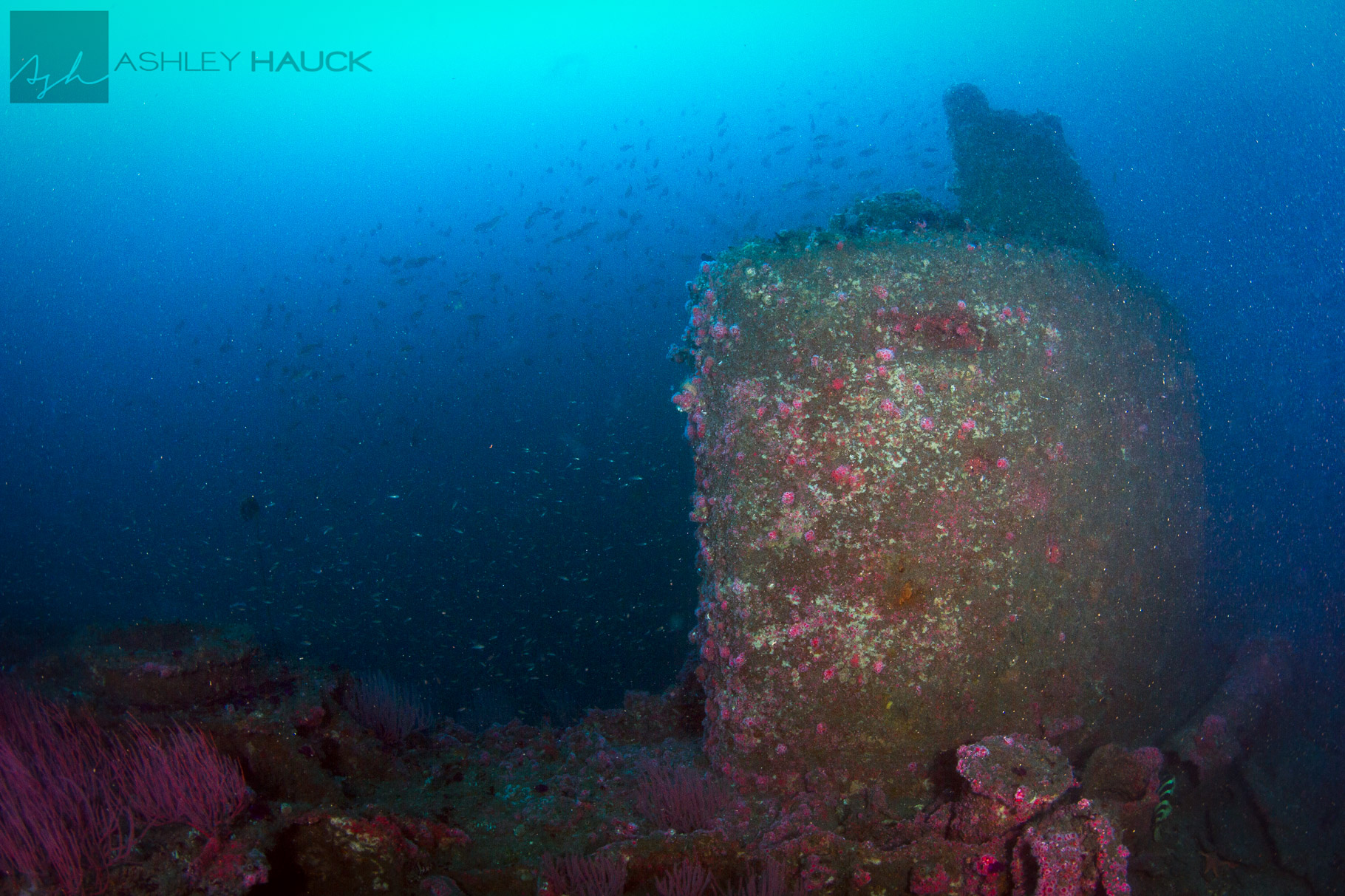 A Second Dive on the UB-88 Submarine Wreck
