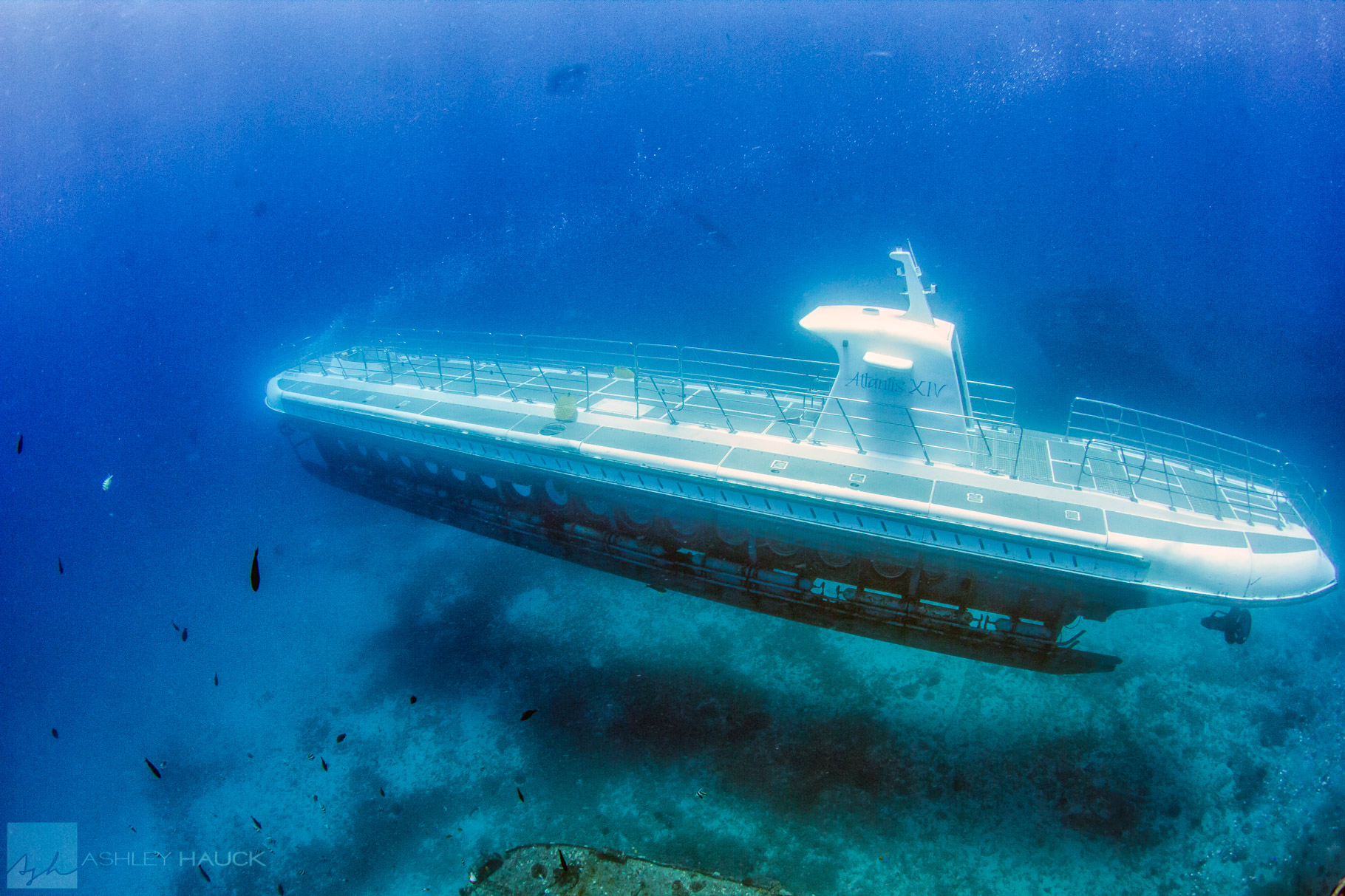 Atlantis Submarine in Oahu, Hawaii.