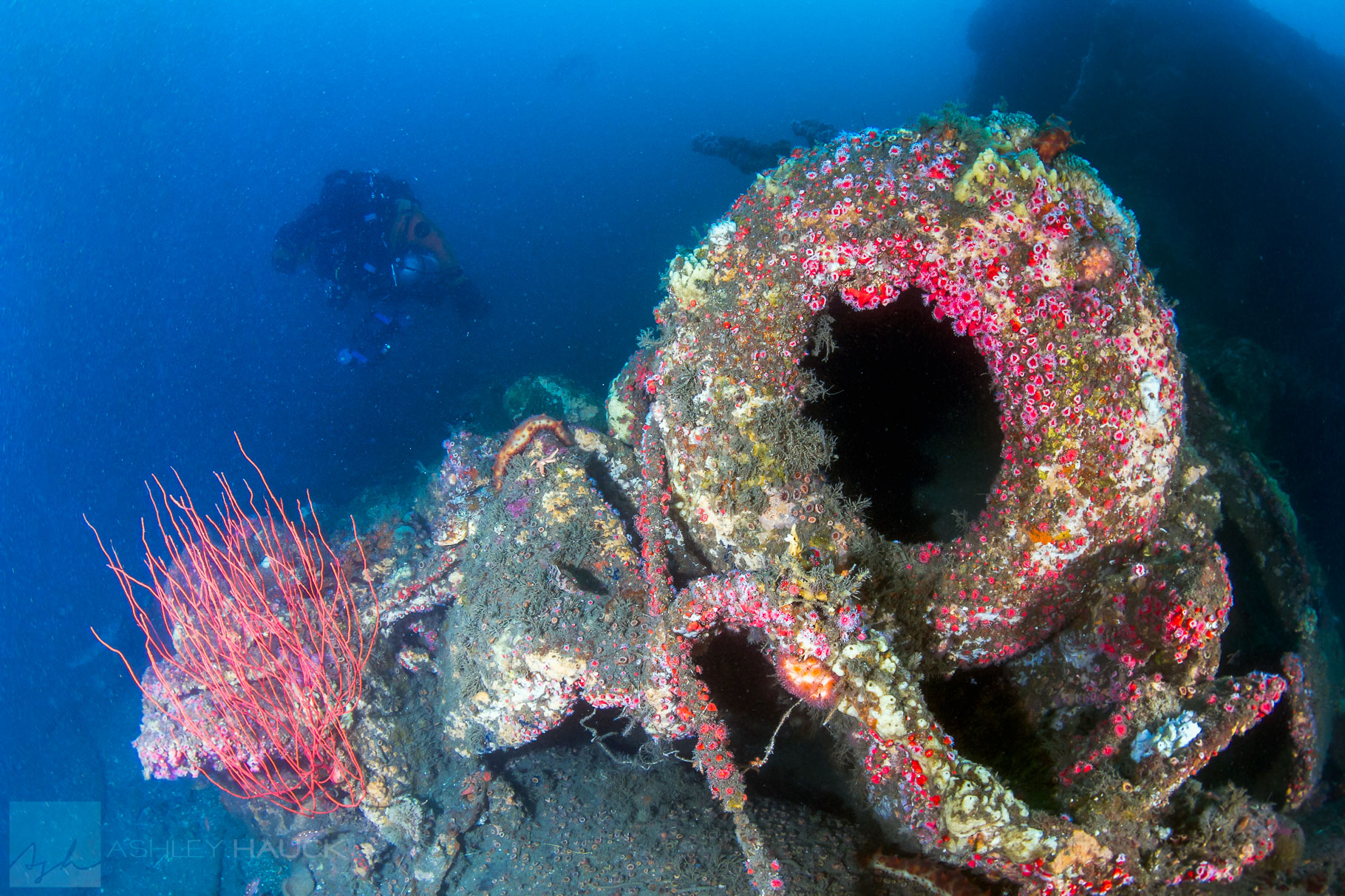 11 Interesting Facts about the USS Moody Destroyer Wreck