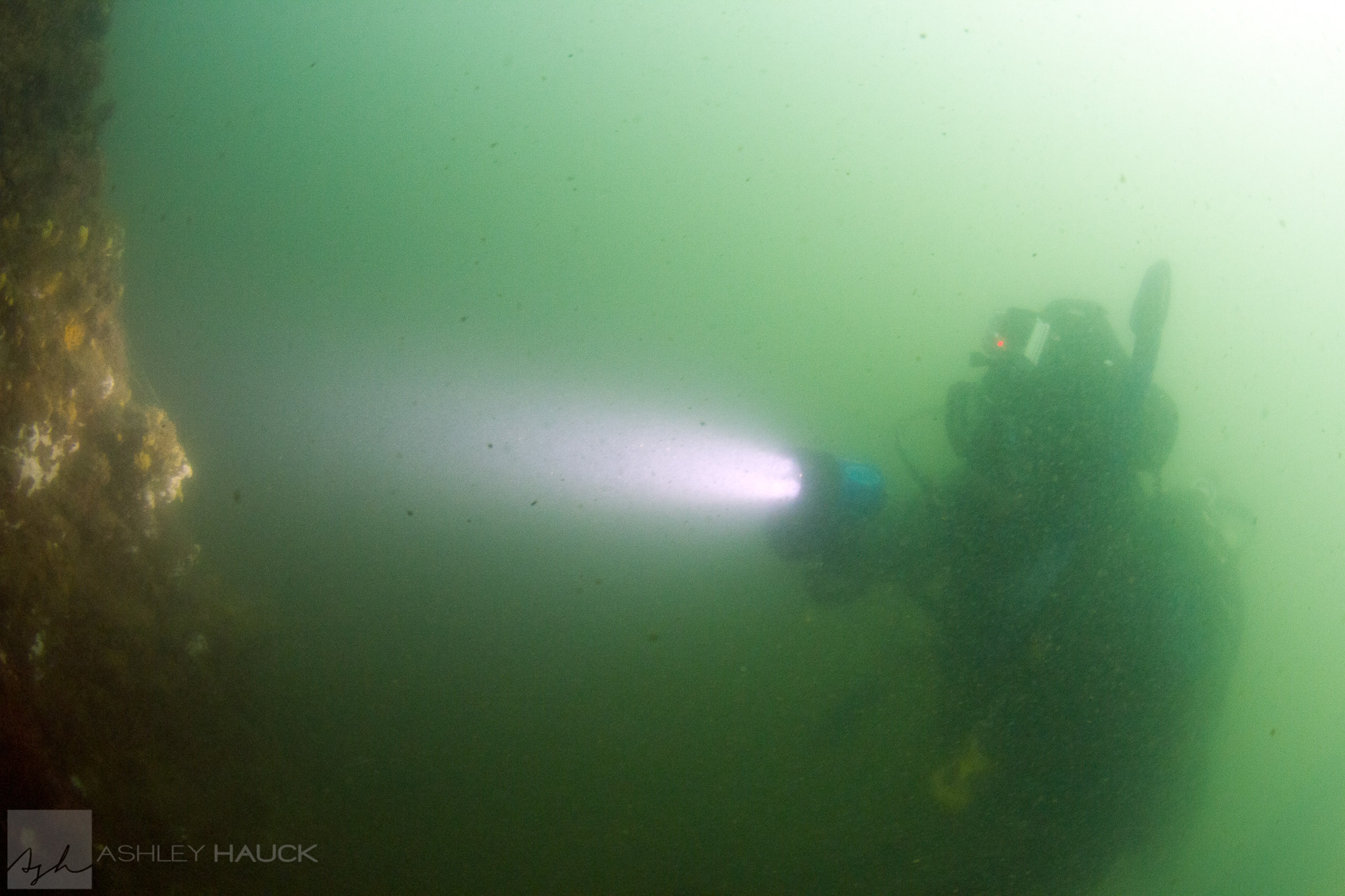 Here’s What It’s Like To Dive San Diego Bay