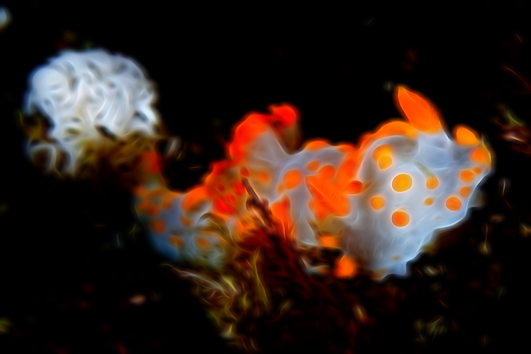 Add Electric Effects To Your Underwater Photos: A Topaz Glow Review